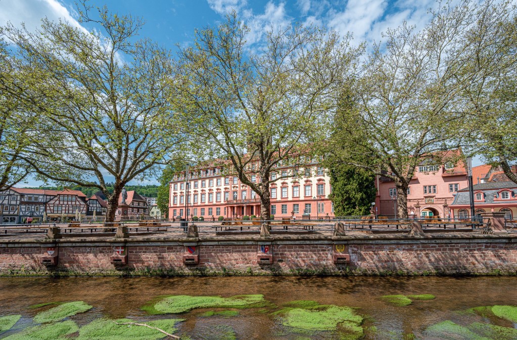 PHP Development Company in The Hague